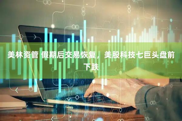 美林资管 假期后交易恢复，美股科技七巨头盘前下跌