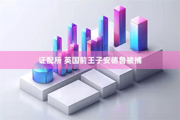 证配所 英国前王子安德鲁被捕