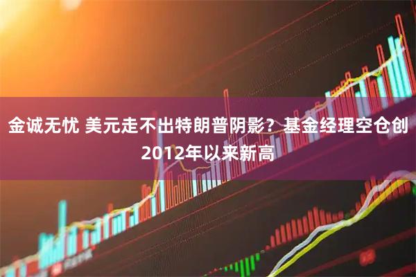 金诚无忧 美元走不出特朗普阴影？基金经理空仓创2012年以来新高