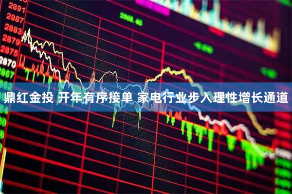 鼎红金投 开年有序接单 家电行业步入理性增长通道